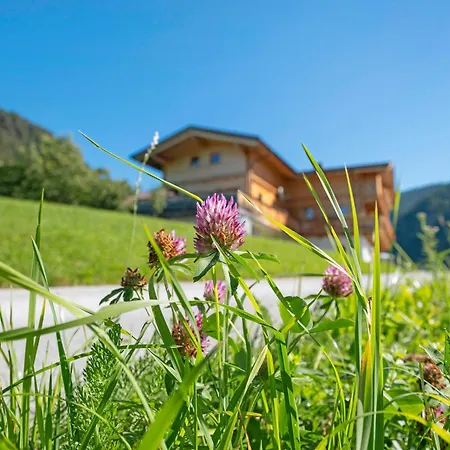 Brandterhof Apartment